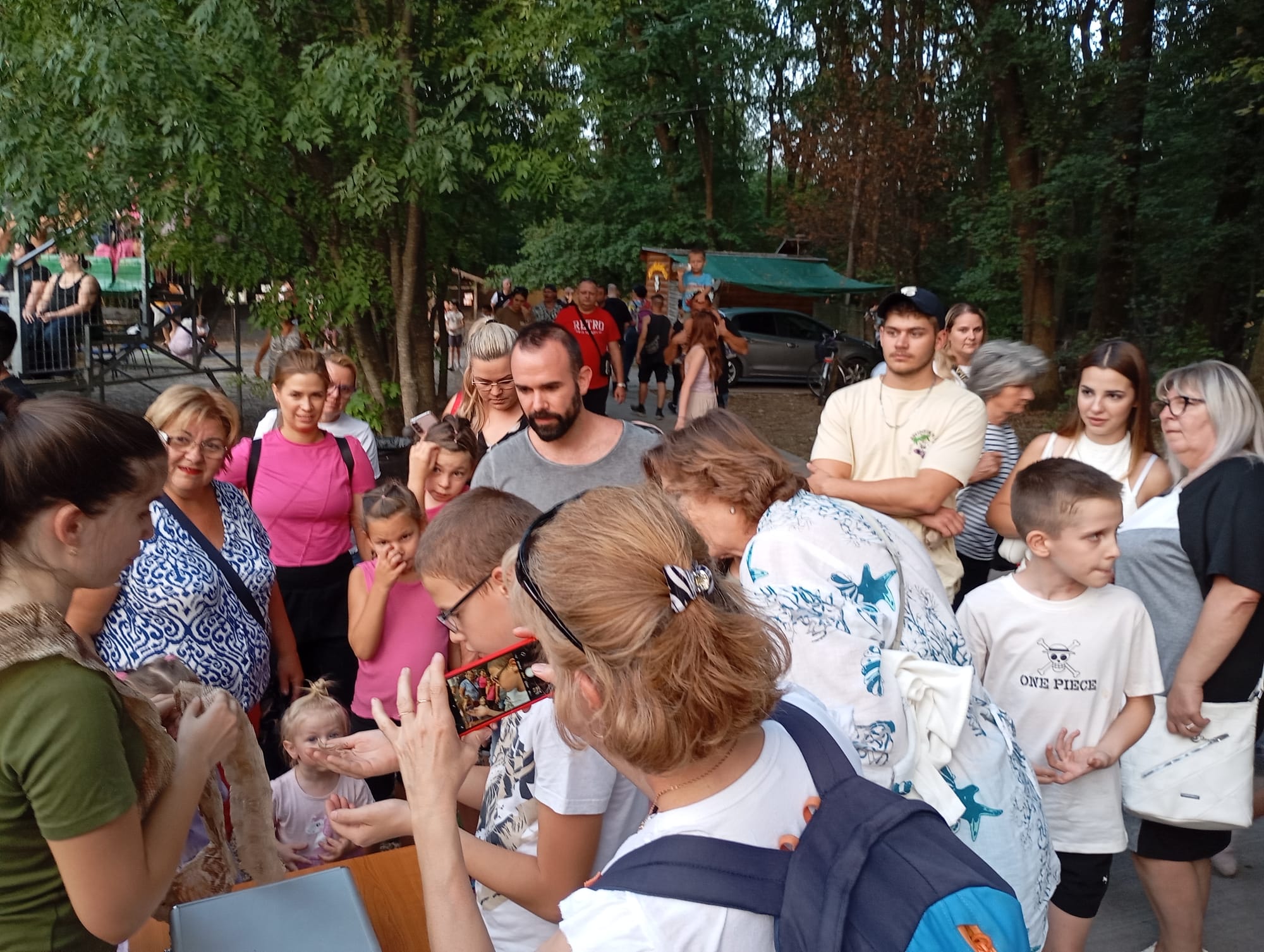 Állatkertek éjszakája a Szegedi Vadasparkban - 2025