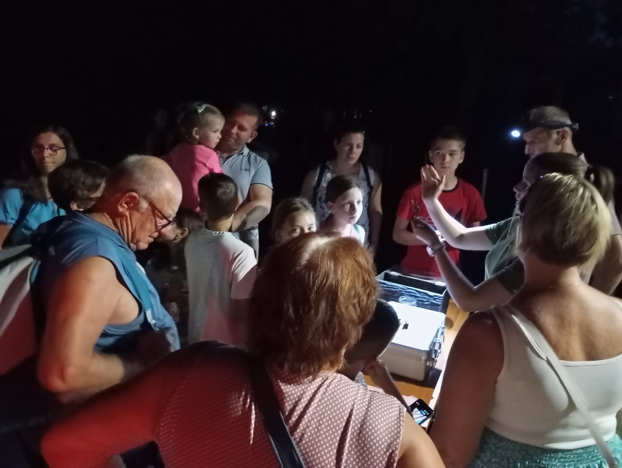 Állatkertek éjszakája a Szegedi Vadasparkban - 2025