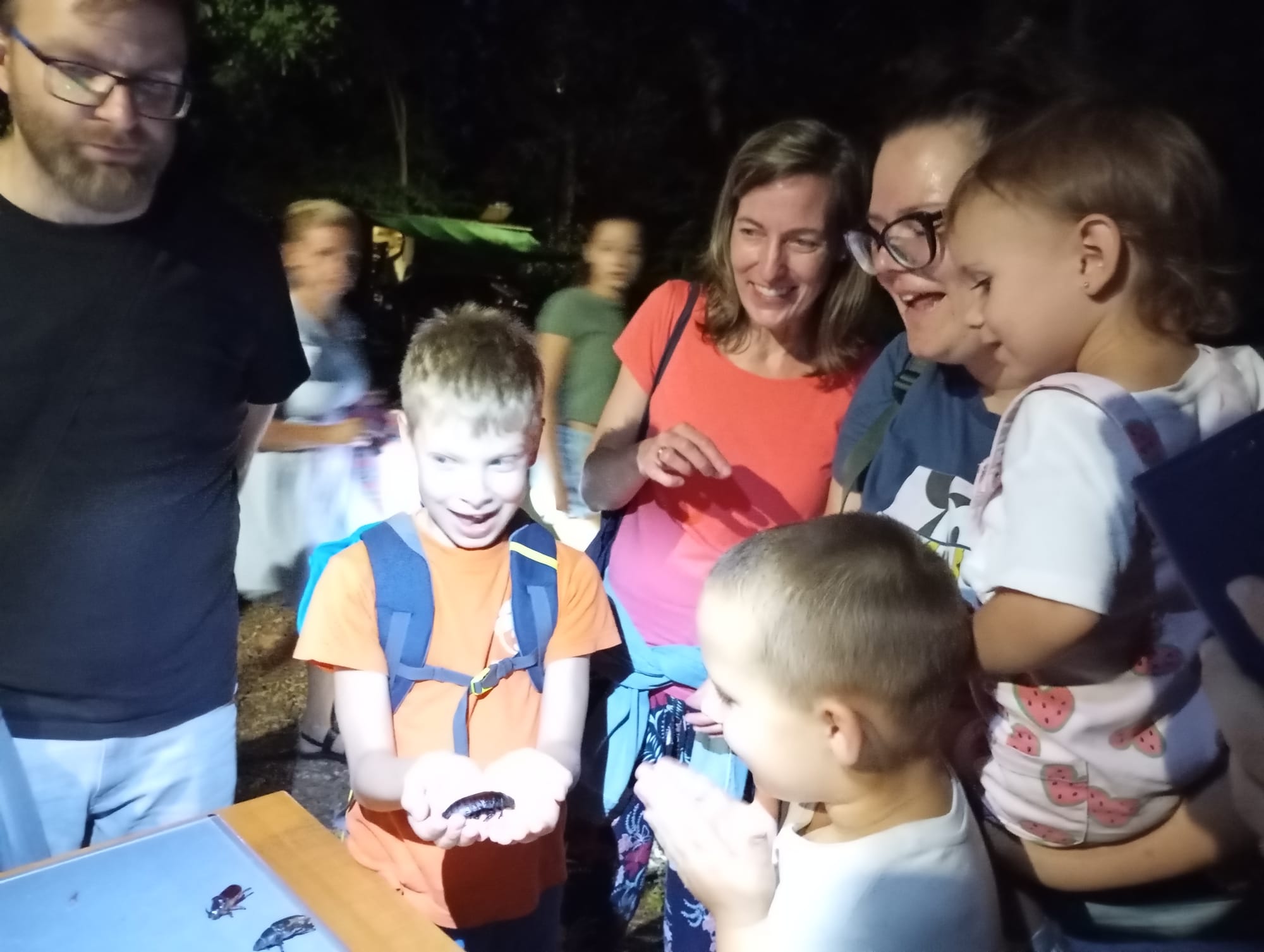 Állatkertek éjszakája a Szegedi Vadasparkban - 2025