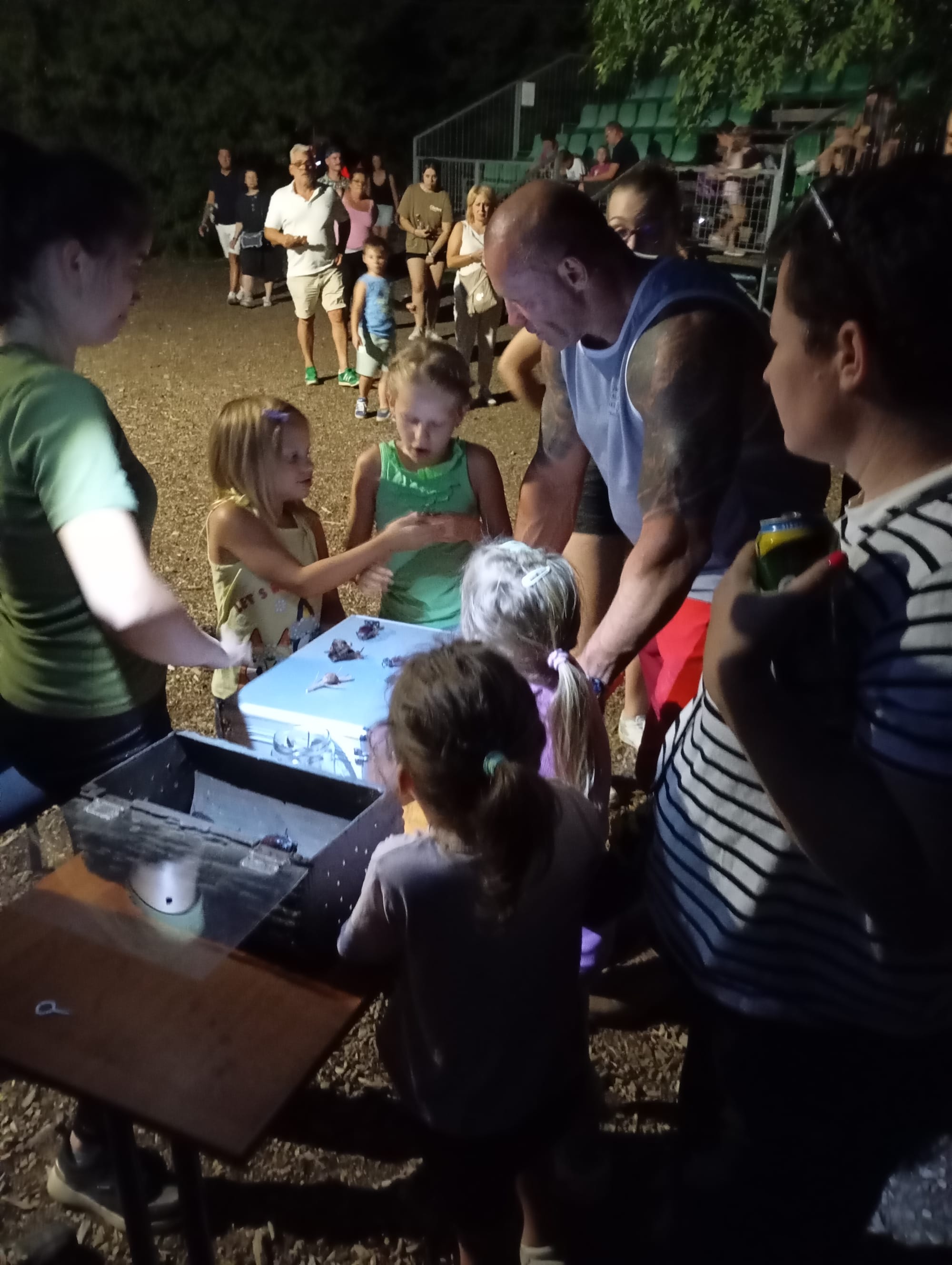 Állatkertek éjszakája a Szegedi Vadasparkban - 2025