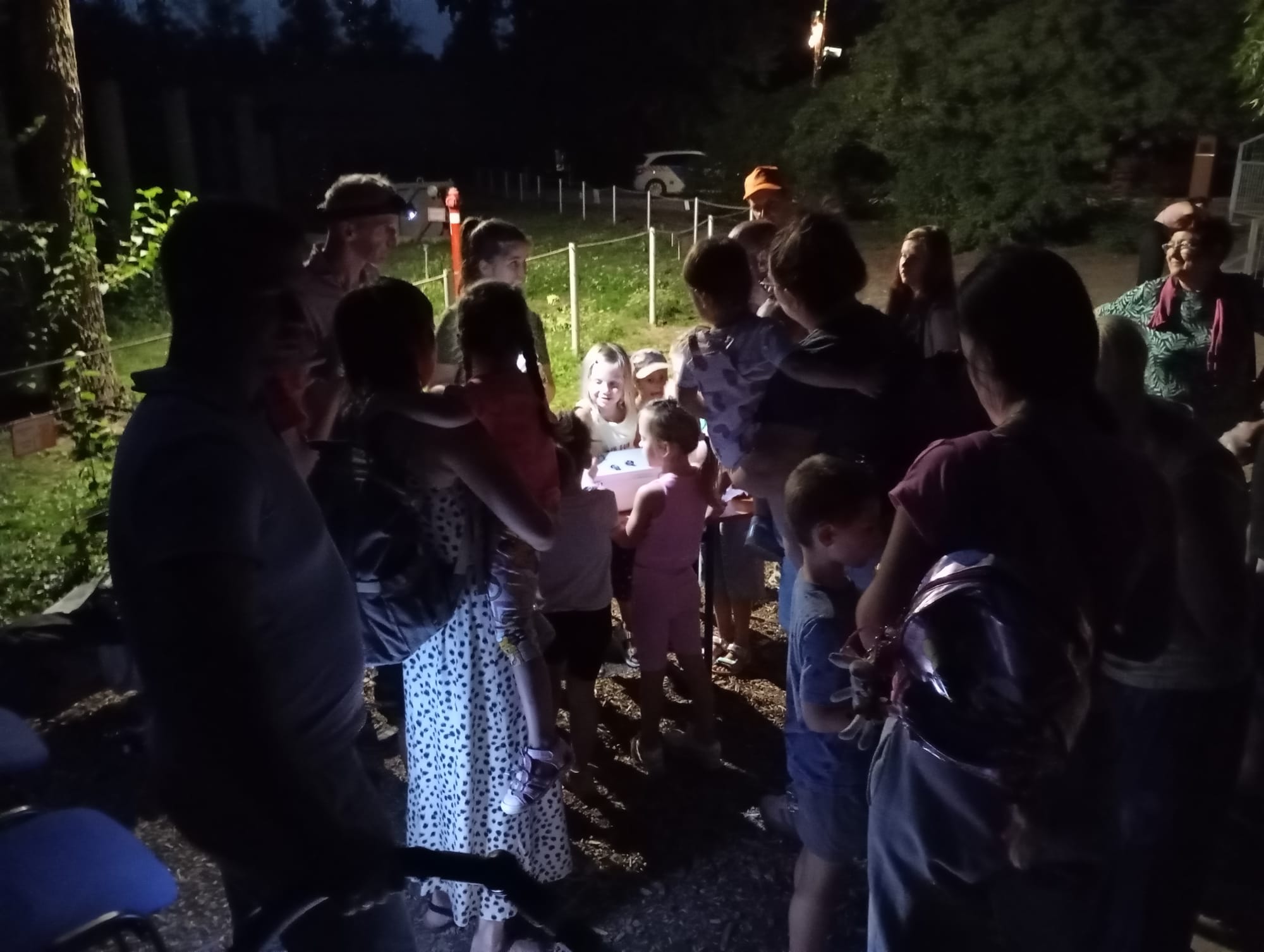 Állatkertek éjszakája a Szegedi Vadasparkban - 2025