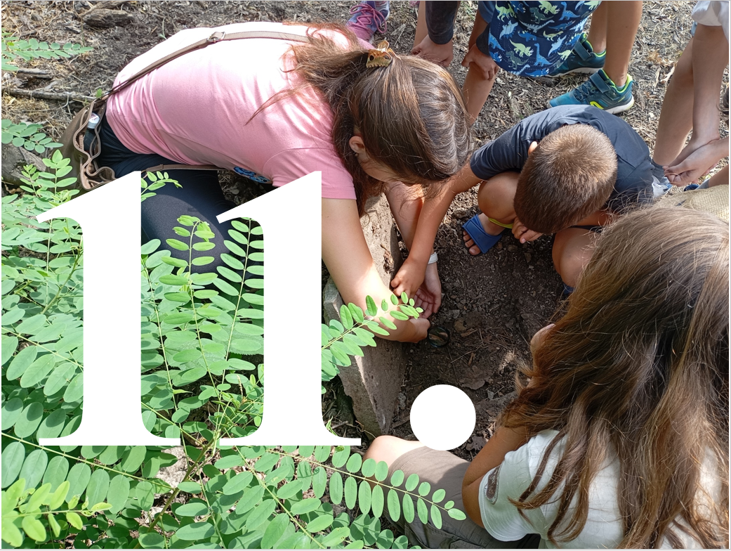 Kalandok a természetben 11. - Gamma-bagolylepke