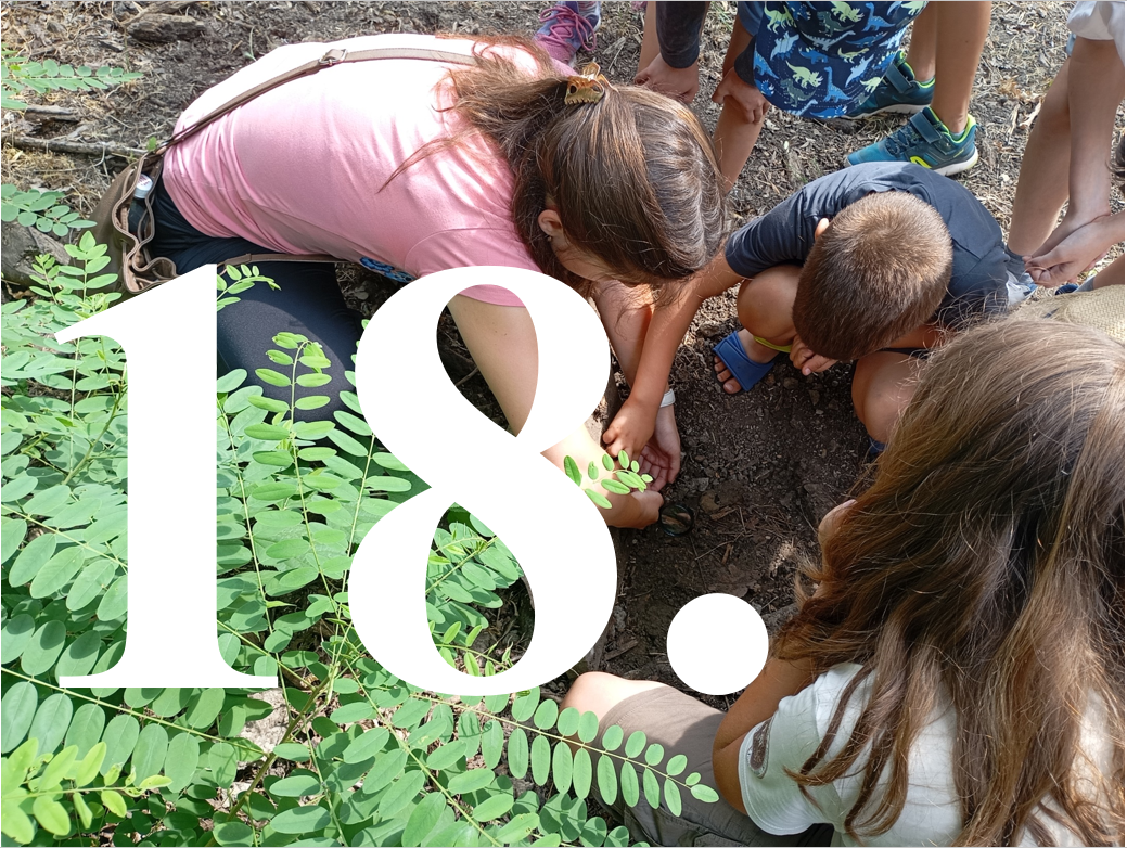 Kalandok a természetben 18. - Barna ásóbéka