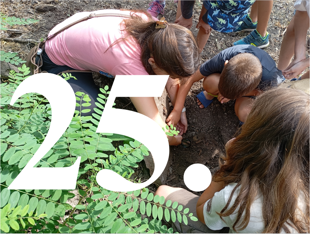 Kalandok a természetben 25. - Bogáncslepke