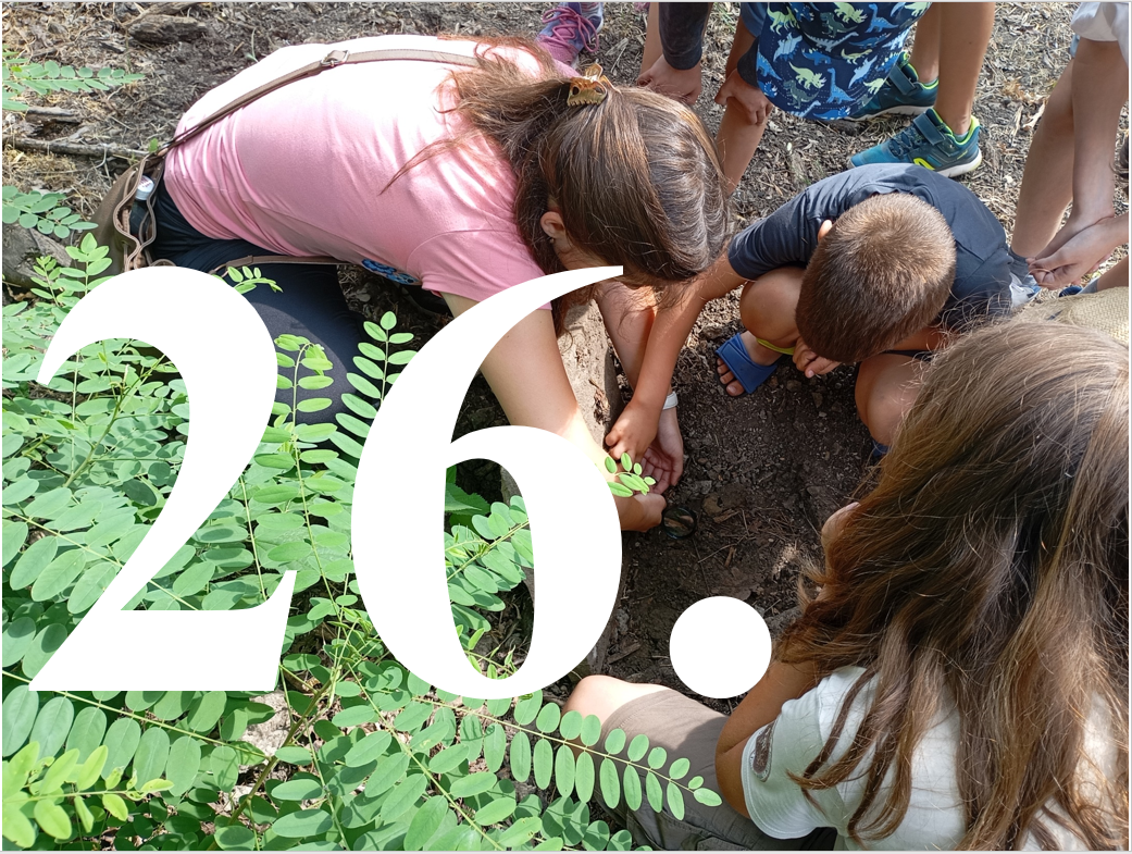 Kalandok a természetben 26. - Poszméh