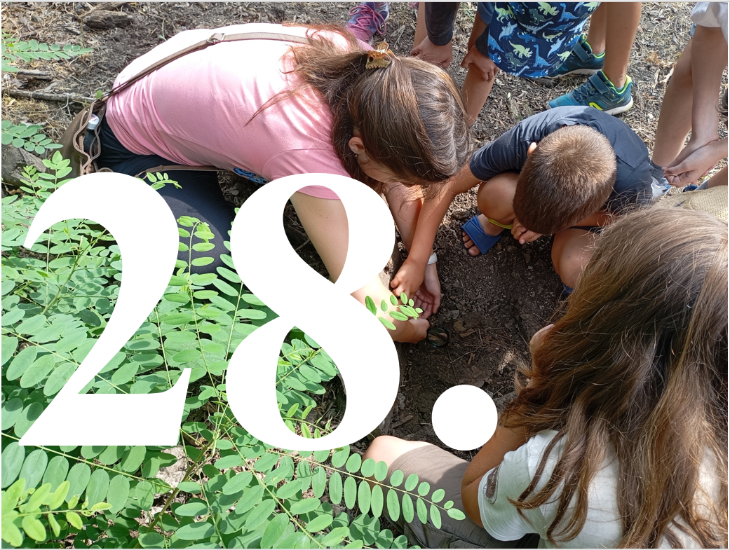 Kalandok a természetben 28. - Háromjegyű araszolólepke