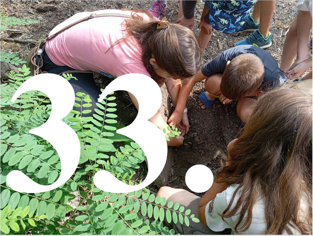 Kalandok a természetben 33. - Rövidszárnyú rétisáska