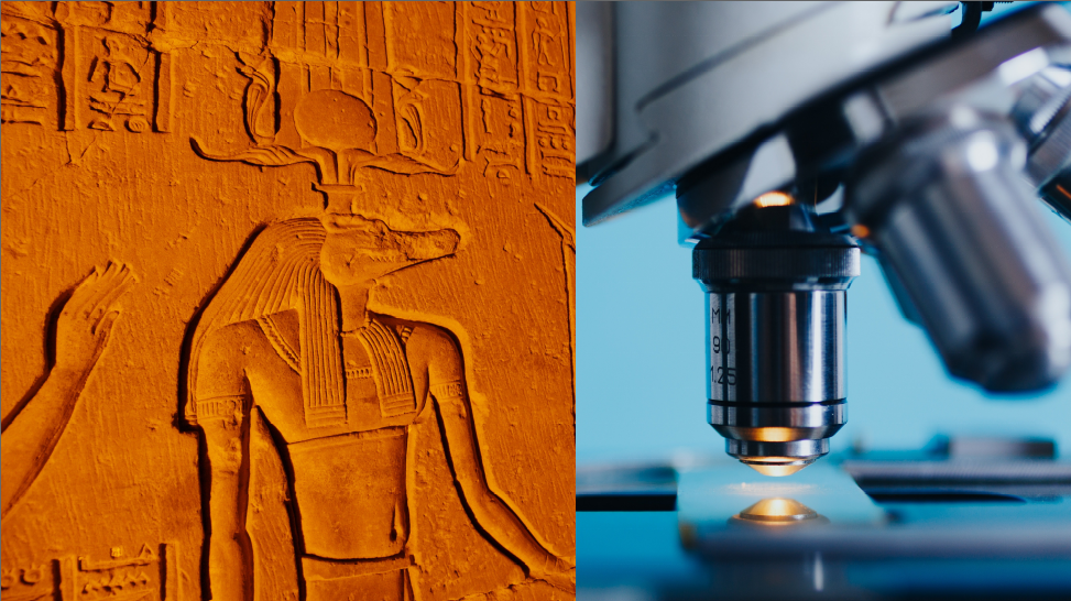 A féreg, amely megváltoztathatja a gyógyítást