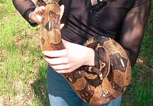 Óriáskígyóval közösen