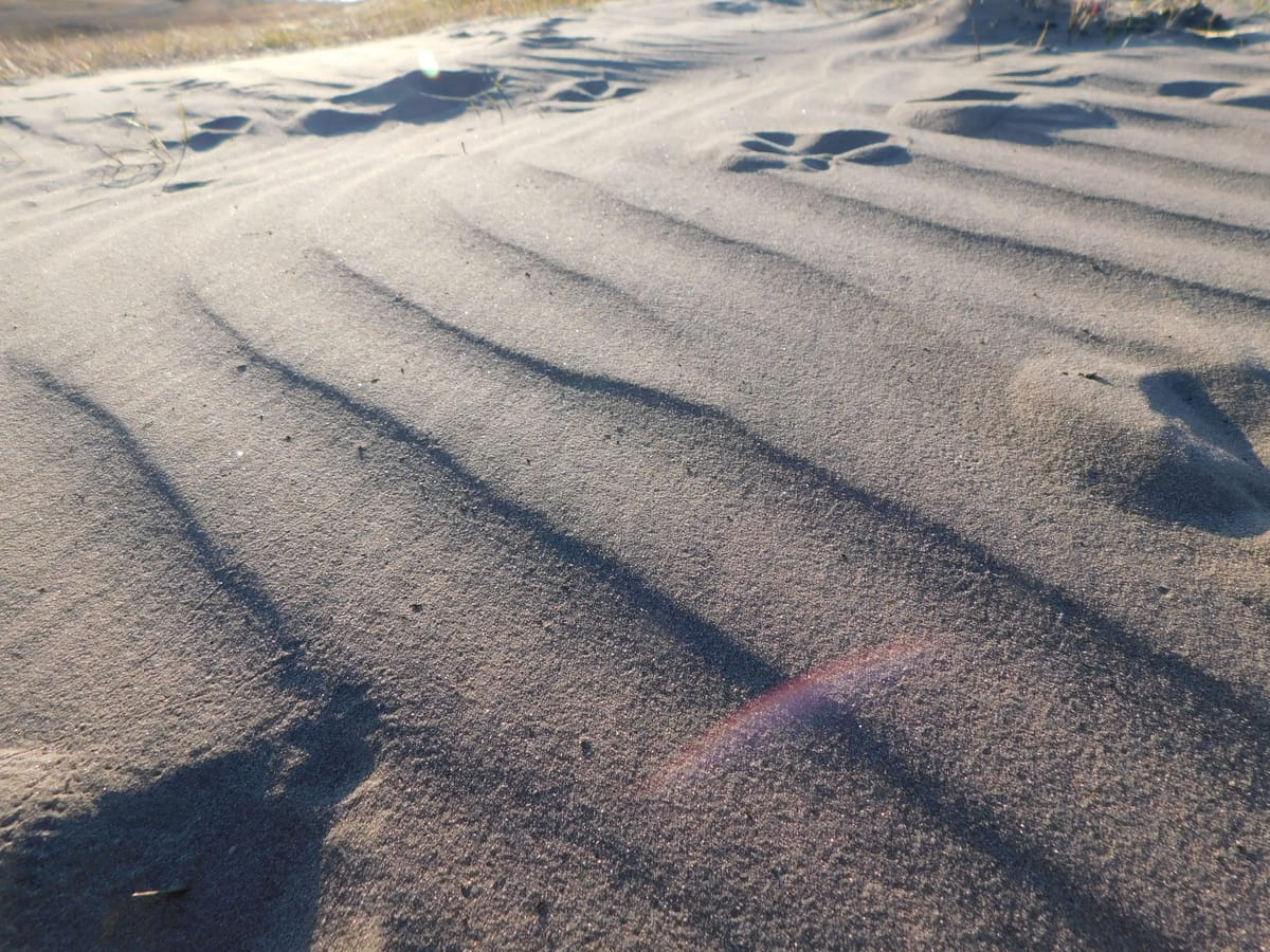 A folyók vize, mint öntözővíz