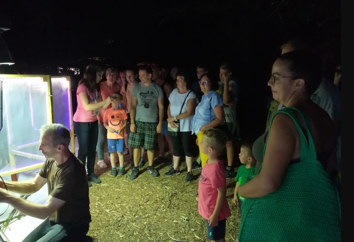 Titokzatos, különleges világ elevenedik meg előttünk: éjszakai rovarászásra várják a szegedieket az újszegedi Ligetbe