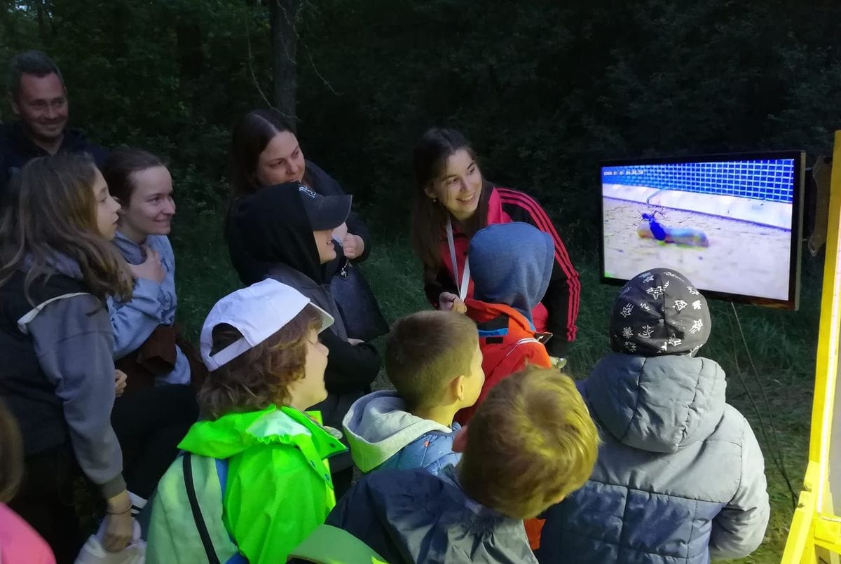 Éjszaka indul az igazi élet Szegeden: lepkék, bogarak és különleges túrák várják az érdeklődőket