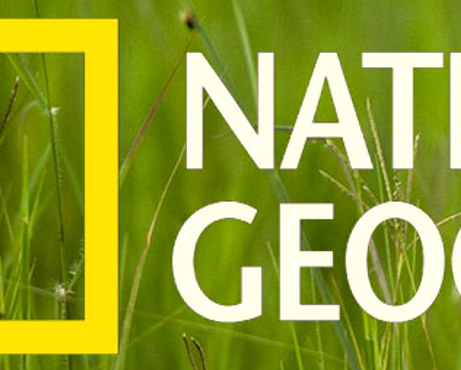 További cikkeim a NatGeo-n (2024. okt.)