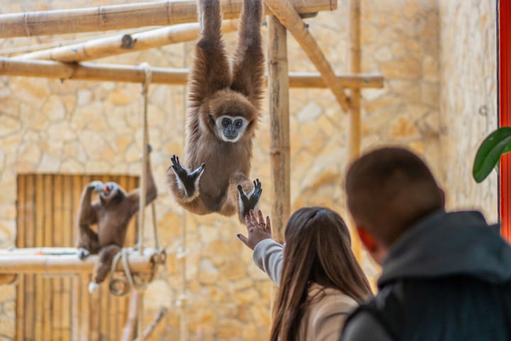 Szórakozni és kikapcsolódni: Zoo Debrecen