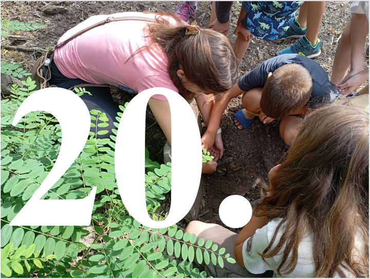 Kalandok a természetben 20. - Szamárbogáncs