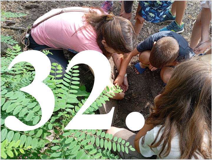 Kalandok a természetben 32. - Rőtlábú alkonybogár