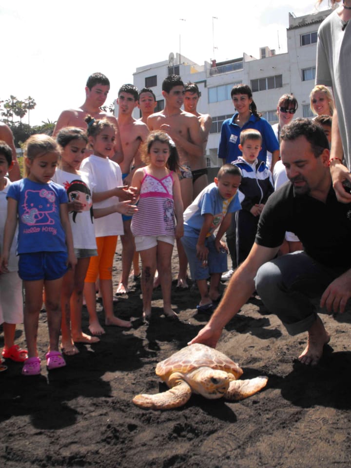 An island of wildlife - Loro Parque