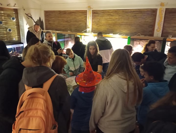 Halloween a Szegedi Vadasparkban - 2025