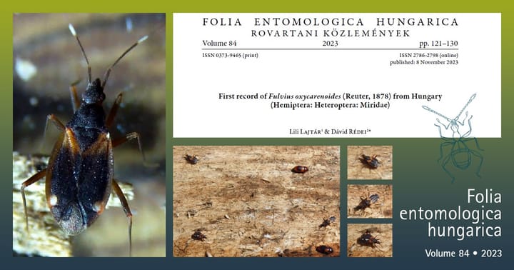 Fulvius oxycarenoides - publikáció