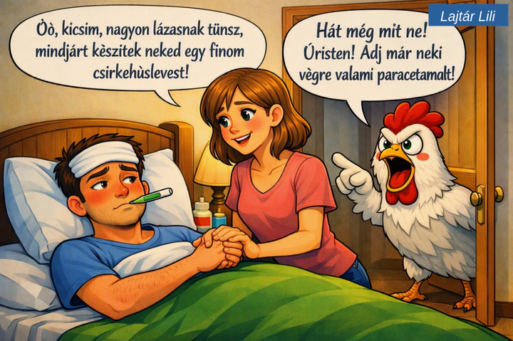 Csirkehúsleves