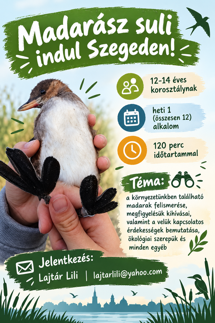 Madarászsuli Szegeden